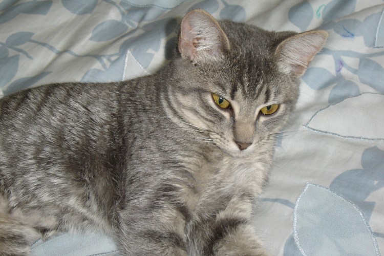 Didn't get a picture of Clara and Gordon, but here's a recent photo of Clara ... 