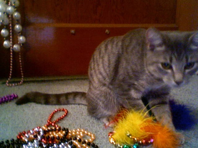 Clara with my Gasparilla beads